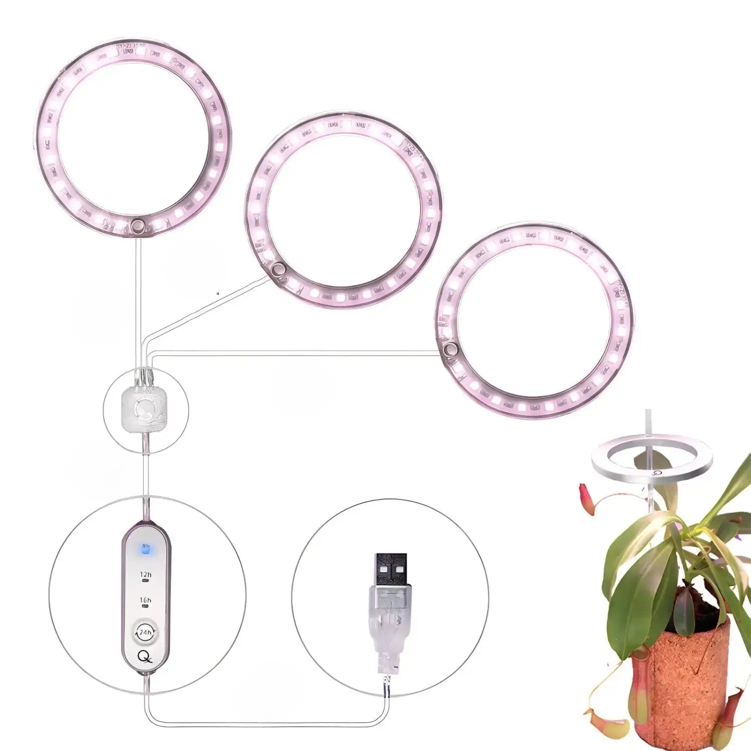 LED Grow Light Full Spectrum Angel Ring USB Lamp for Indoor Plants - Three pink and white light - Grow light