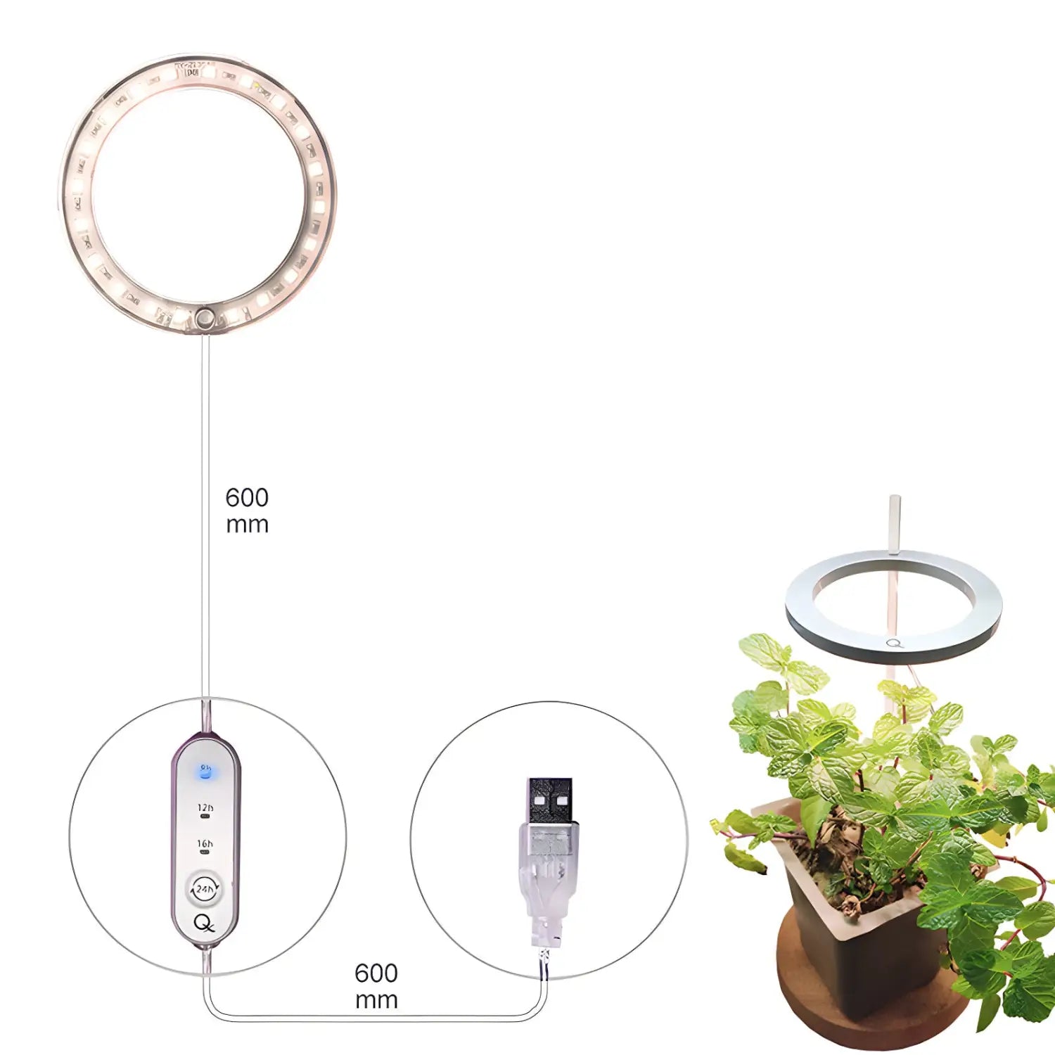 LED Grow Light Full Spectrum Angel Ring USB Lamp for Indoor Plants - Grow light