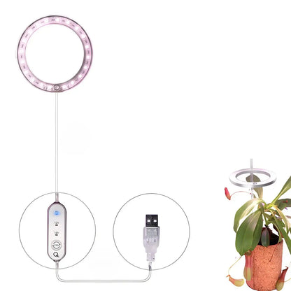 LED Grow Light Full Spectrum Angel Ring USB Lamp for Indoor Plants - Single head pink and white lig - Grow light