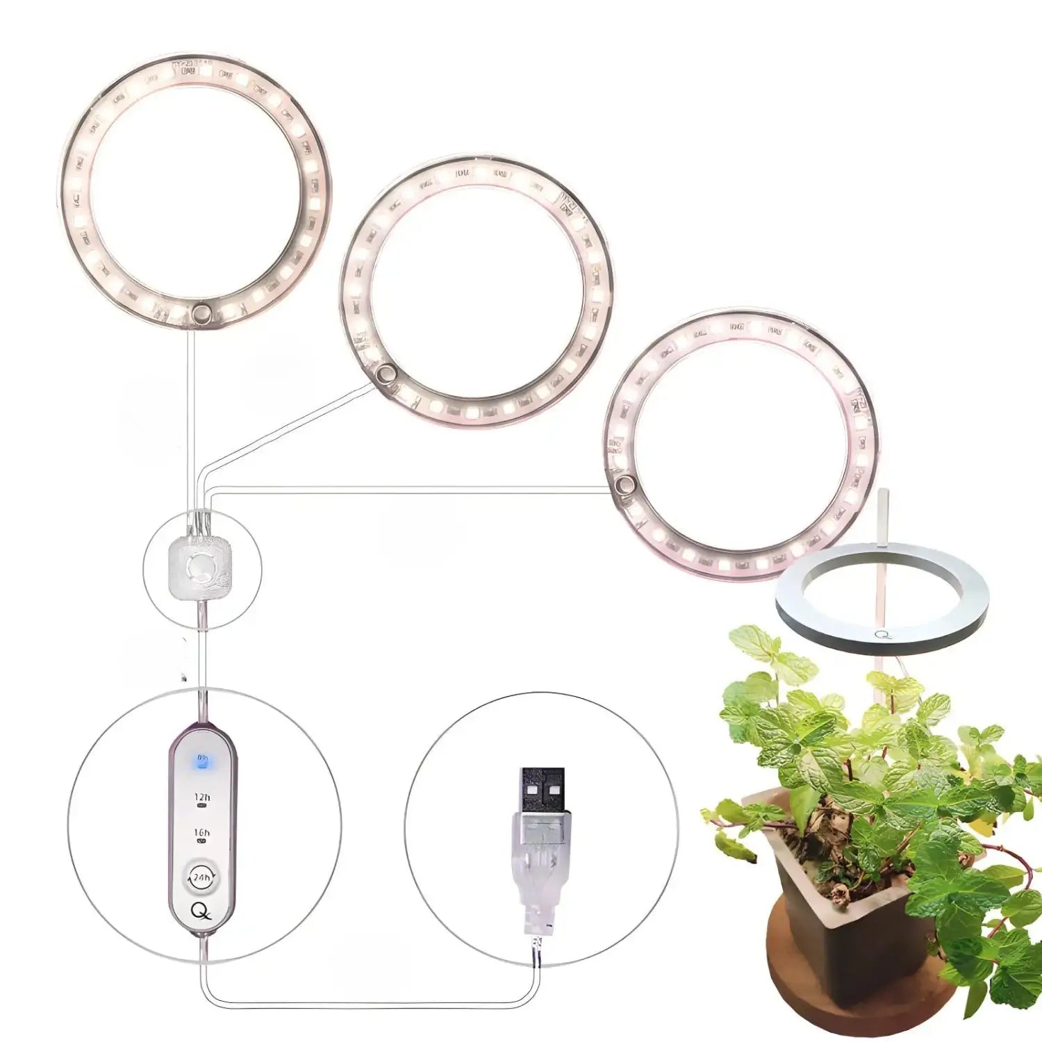 LED Grow Light Full Spectrum Angel Ring USB Lamp for Indoor Plants - Three Heads Of Sunshine - Grow light
