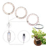 LED Grow Light Full Spectrum Angel Ring USB Lamp for Indoor Plants - Three Heads Of Sunshine - Grow light