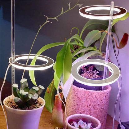 LED Grow Light Full Spectrum Angel Ring USB Lamp for Indoor Plants - Grow light