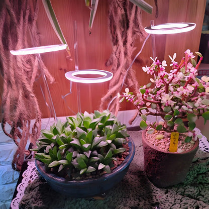 LED Grow Light Full Spectrum Angel Ring USB Lamp for Indoor Plants - Grow light