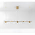LED Spotlight Lamp for Track Lighting 110V & 220V Wall and Ceiling Fixture - Gold / 5heads / 110V led tricolor light