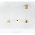 LED Spotlight Lamp for Track Lighting 110V & 220V Wall and Ceiling Fixture - Gold / 3heads / 110V led tricolor light