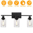 Modern 3-Light Wall Sconce Lighting with Clear Glass Shades and Matte Black Finish - 3 Heads - Wall Lights