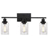 Modern 3-Light Wall Sconce Lighting with Clear Glass Shades and Matte Black Finish - 3 Heads - Wall Lights