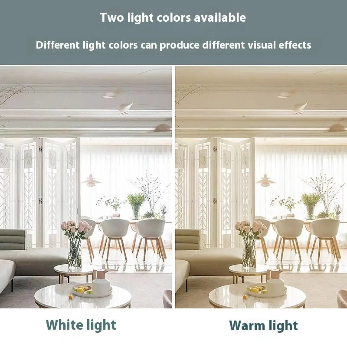 Modern Ceiling Spot Light with Aluminum Body for Stylish Interiors - 12V Hanging Light