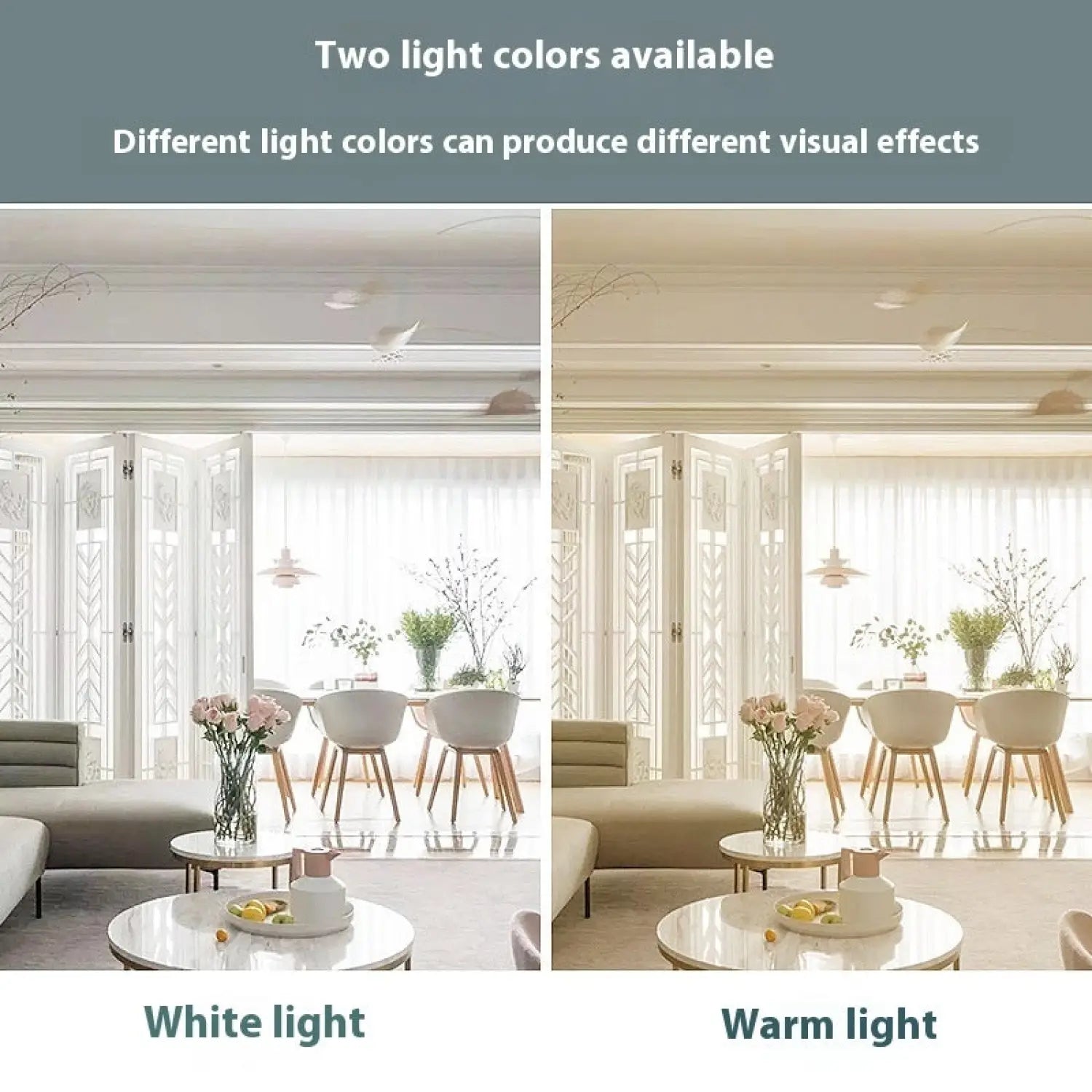 Modern Ceiling Spot Light with Aluminum Body for Stylish Interiors - 12V Hanging Light