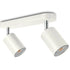 Modern Ceiling Spot Light with Aluminum Body for Stylish Interiors - Double headed white / Positive White Light - 12V