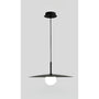 Modern Pendant Light for Kitchen Island and Artful Interiors - Black / 25cm - 12V Hanging Light