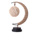 Moon Light Lamp | Moon and Star Shape LED Decorative Lamp - Table Lamp