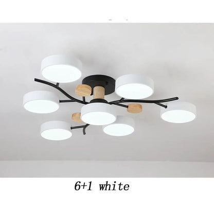 Nordic LED Ceiling Light for Living Room in Soft Macaron Style - Ceiling Light