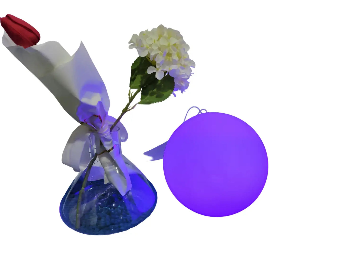 Outdoor Colour Changing Lights – Waterproof Solar Luminous Bird String Lamp - Solar Light
