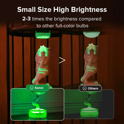 Outdoor LED Lights Waterproof RGB Pool Lamp with 20-Hour Runtime - 4pack - 12V Hanging Light
