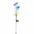 Outdoor Solar Lights for Garden Pathway & Patio Decor - Solar Lights