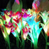 Outdoor Solar Lights for Garden Pathway & Patio Decor - Solar Lights