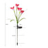 Outdoor Solar Lights for Garden Pathway & Patio Decor - Solar Lights