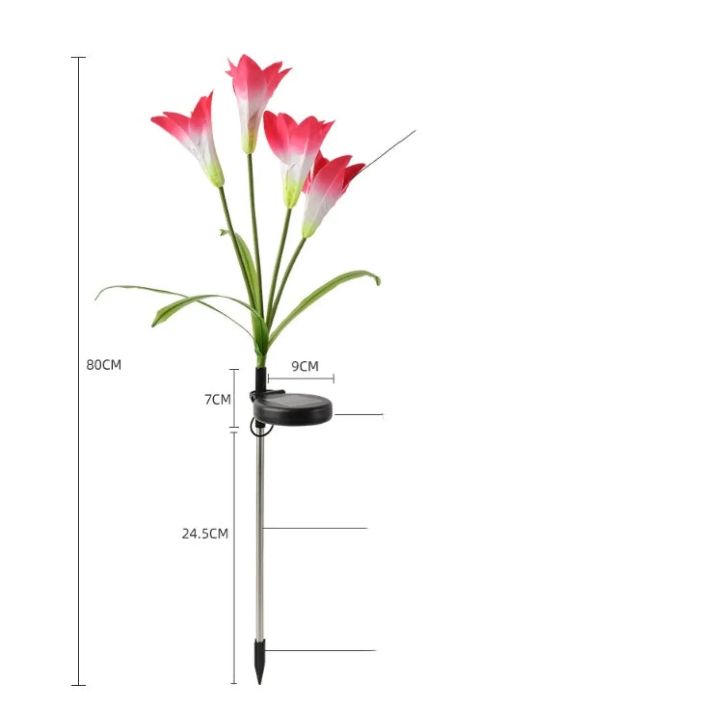 Outdoor Solar Lights for Garden Pathway & Patio Decor - Solar Lights