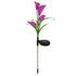 Outdoor Solar Lights for Garden Pathway & Patio Decor - Solar Lily Purple / 1 Pack Cowhide Box - Solar Lights