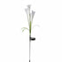 Outdoor Solar Lights for Garden Pathway & Patio Decor - Solar Lily White / 1 Pack Cowhide Box - Solar Lights