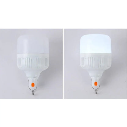 Rechargeable LED Light Bulb Lights with Portable Battery Power 12V Hanging Light