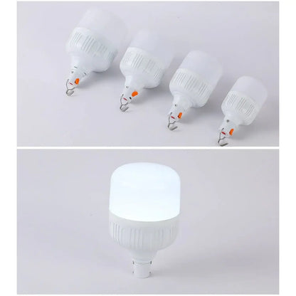 Rechargeable LED Light Bulb Lights with Portable Battery Power 12V Hanging Light