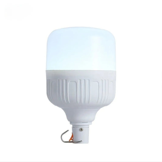 Rechargeable LED Light Bulb Lights with Portable Battery Power 12V Hanging Light
