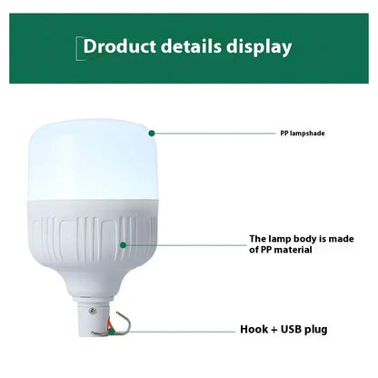 Rechargeable LED Light Bulb Lights with Portable Battery Power 12V Hanging Light