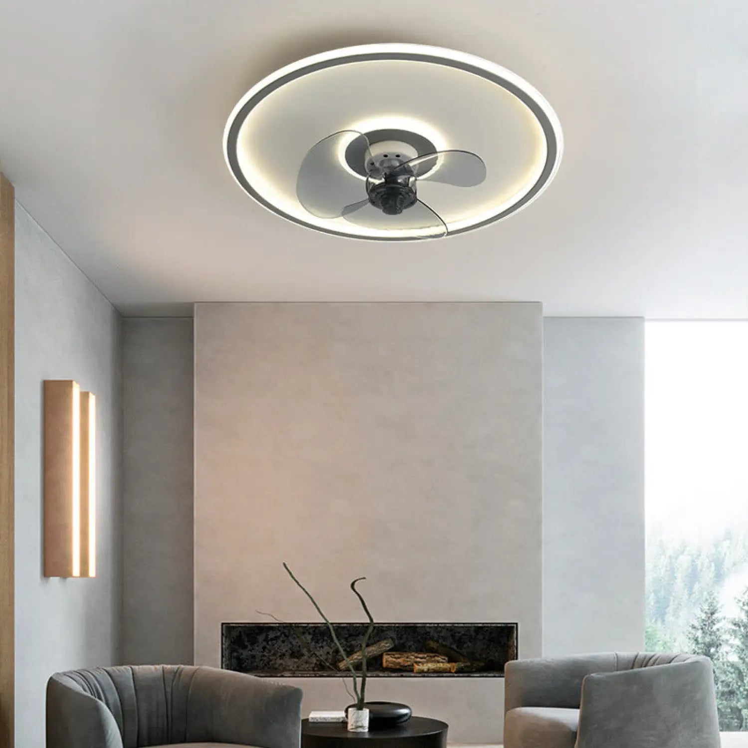 Simple Ceiling Fan Light Fixtures for Living Room & Home - Ceiling Light