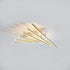 Sleek Modern Ceiling Lights for Living Room with Ambient LED Glow - 6Heads 50CM gold / warm light - 12V Hanging Light