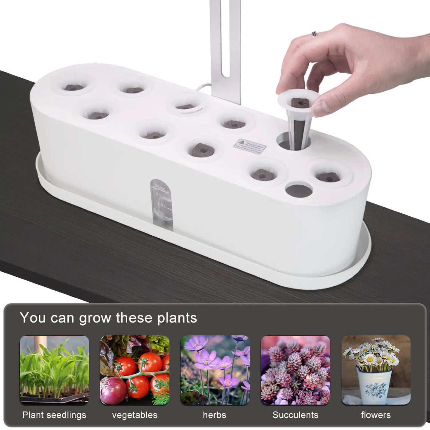 Smart Hydroponic Full Spectrum Grow Light for Plants - Grow light