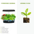 Smart Plant Grow Light Indoor with 12 Holes for Easy Planting - Grow light