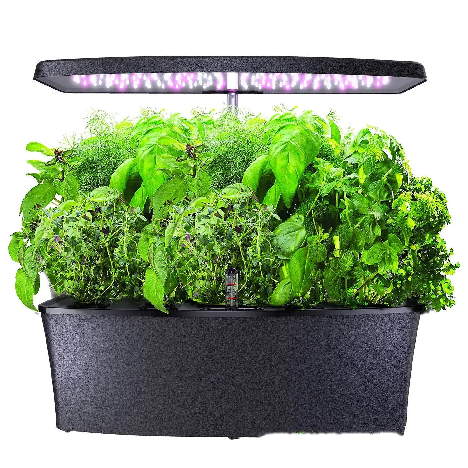 Smart Plant Grow Light Indoor with 12 Holes for Easy Planting - Black / AU - Grow light