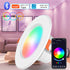 Graffiti Bluetooth Smart Downlight Voice Control Full Color Dimming Speaker Five way Light 12V Hanging Light