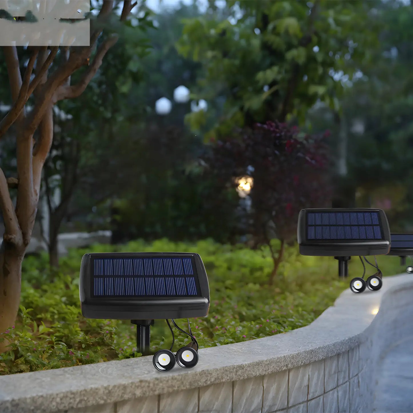 Solar Lawn Light – LED Garden Pathway Light Waterproof & Durable - Solar Light