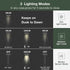 Solar Pathway Lights Outdoor LED Landscape Path Light With Dusk To Dawn Photocell Motion Sensor 1985 - Black - 12V