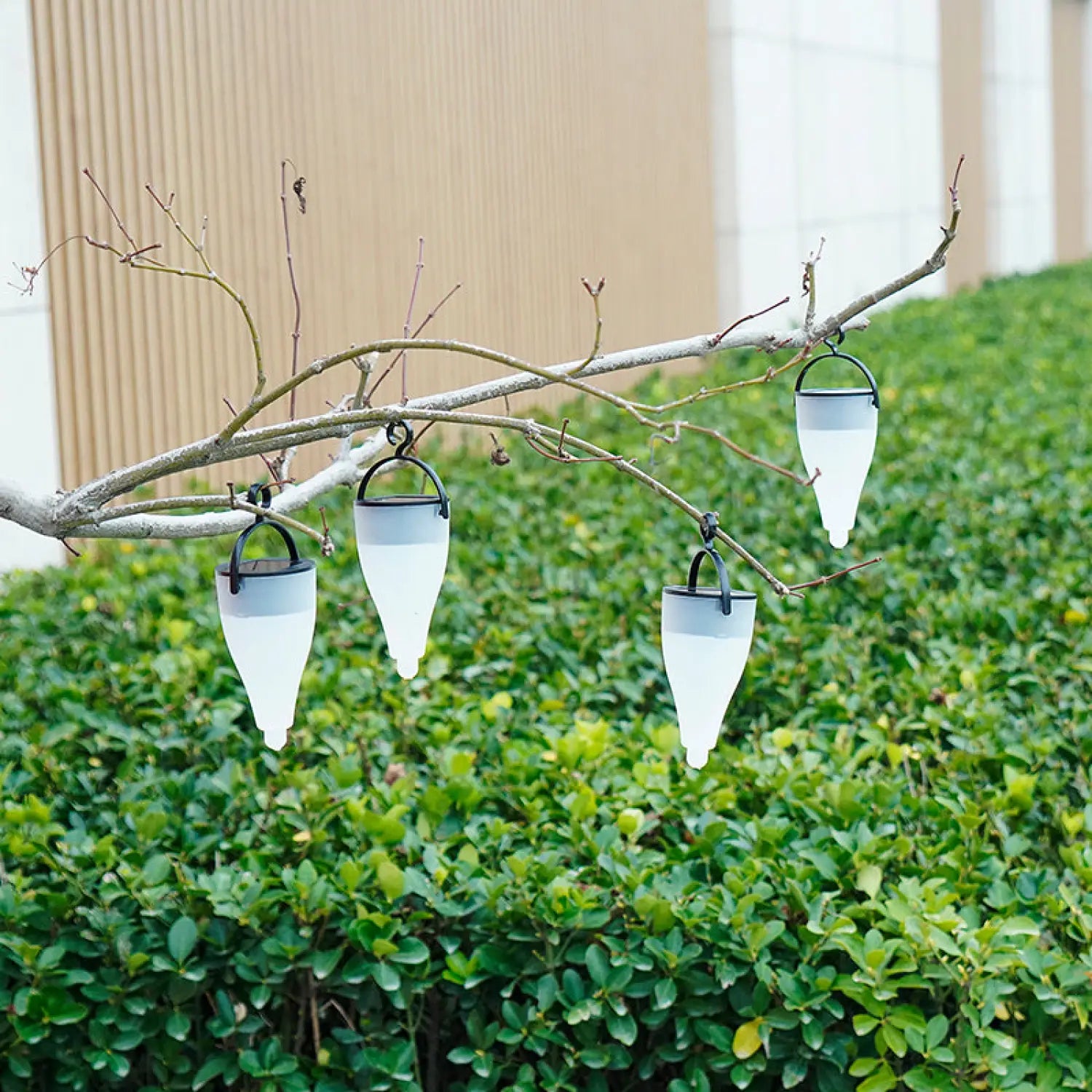 Solar Street Light with RGBW LED & Intelligent Photosensitive Control - Solar Lights