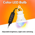 RGB Magic Color 5V Mobile Power Bulb Low Voltage Led - USB Magic Light Bulb - 12V Hanging Light