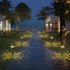 Stylish Solar Lawn Light for Garden Decoration and Lighting - Solar Lawn Lamp - Path Light Fixture
