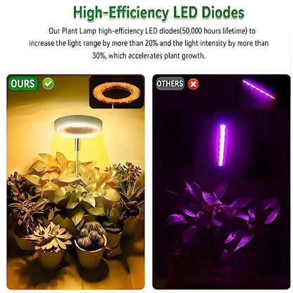 Timing Dimming Plant Grow Light for Succulent Bonsai Plants - Growth Lamp - Grow light