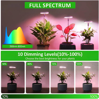 Timing Dimming Plant Grow Light for Succulent Bonsai Plants - Growth Lamp - Grow light