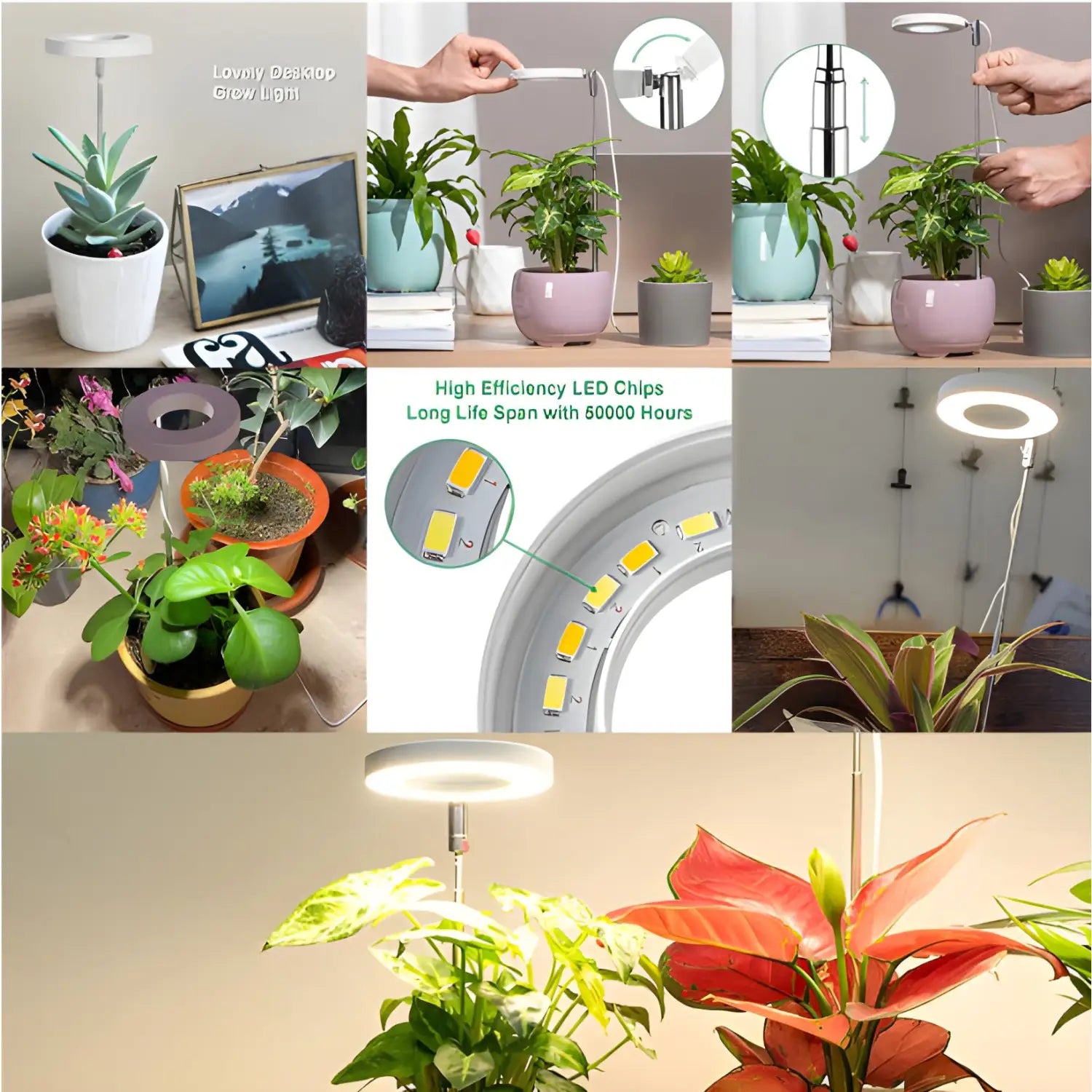 lamp for succulents Timing Dimming Plant Grow Light for Succulent Bonsai Plants