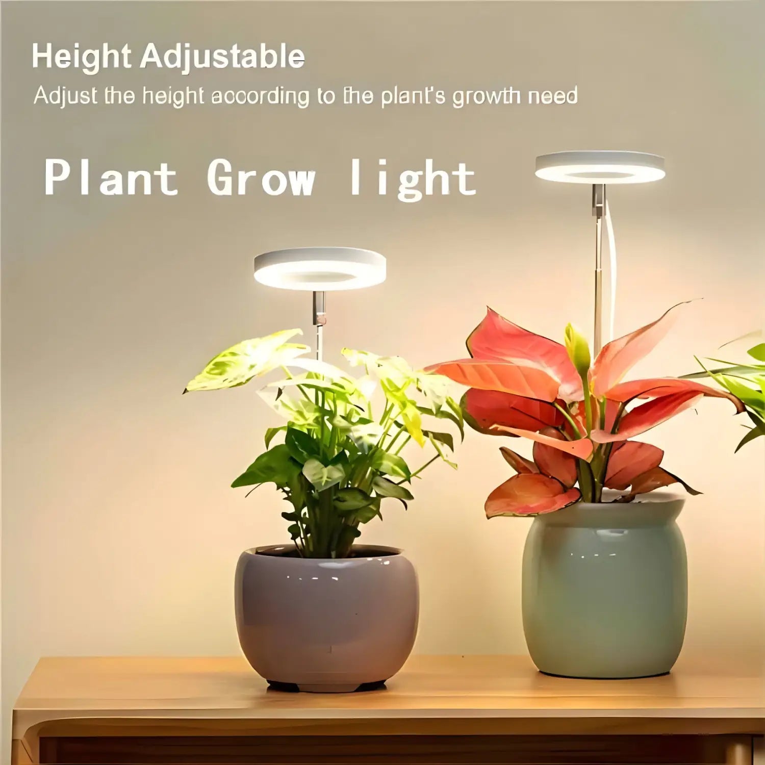 Timing Dimming Plant Grow Light for Succulent Bonsai Plants - Growth Lamp - Grow light