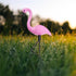 Vibrant Flamingo Solar Lawn Lamps: Waterproof for Outdoor Garden & Path Lights - Pink / 3 PCS - 1 Set - Solar Lights