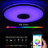 Graffiti WiFi smart Bluetooth ceiling lamp 34cm 12V Hanging Light