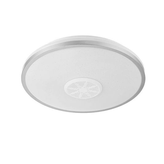 WiFi and Bluetooth LED Smart Ceiling Lights with App Control 34cm Ceiling Light